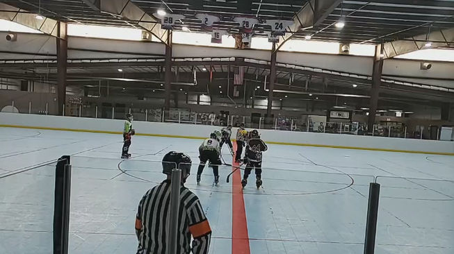Professional Inline Hockey Association